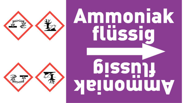 Rohrleitungsband Ammoniak flüssig violett/weiß ab Ø 50 mm 33 m/Rolle