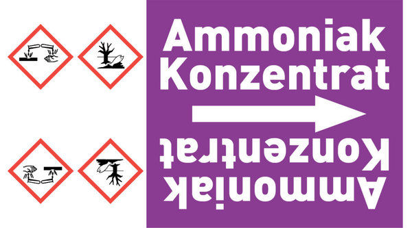 Rohrleitungsband Ammoniak Konzentrat violett/weiß ab Ø 50 mm 33 m/Rolle