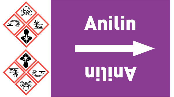 Rohrleitungsband Anilin violett/weiß ab Ø 50 mm 33 m/Rolle
